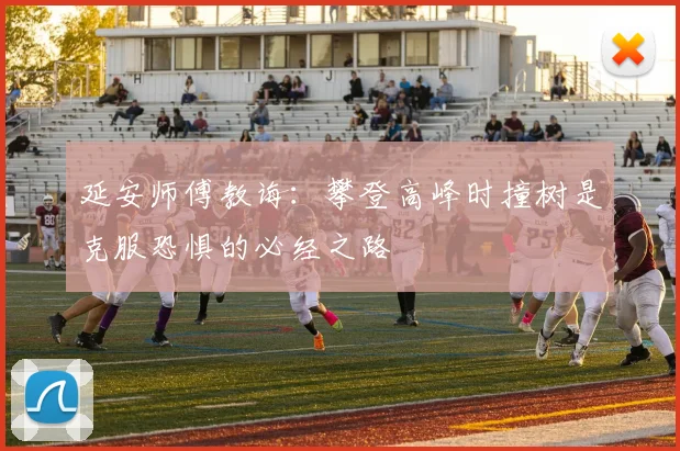 延安师傅教诲：攀登高峰时撞树是克服恐惧的必经之路